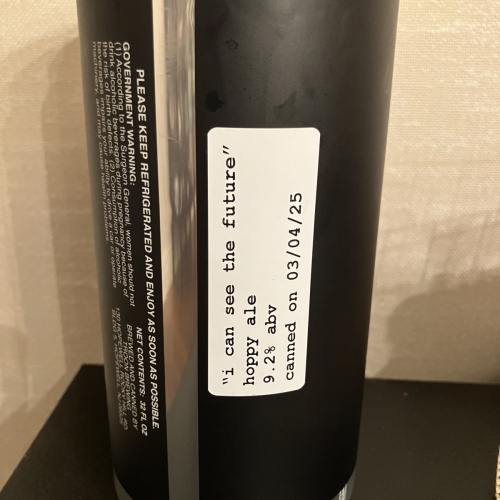 TROON I Can See the Future