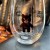 Murder Bears | Black Ninja | The Answer Brewpub Glassware