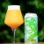 ***1 Can Tree House Super Typhoon***