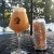Tree House Brewing | 1 Cans Julius,