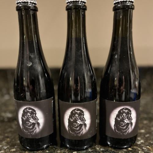 Hill Farmstead - Damon - Coffee Collective Vert 2017 / 2018 / 2019 - CW Only