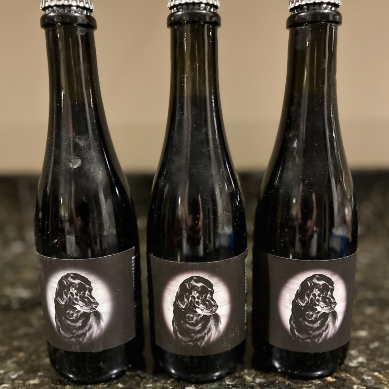 Hill Farmstead - Damon - Coffee Collective Vert 2017 / 2018 / 2019 - CW Only