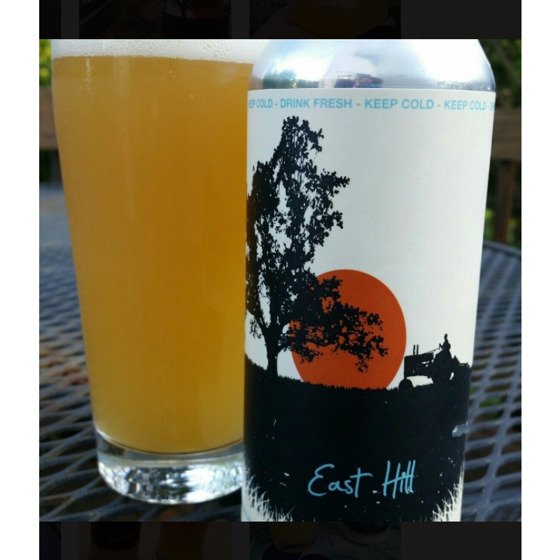 Tree House -- East Hill -- July 16th