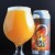 Equilibrium - Hidden Springs mixed 4-pack: Zero Flucs Given TIPA and Solar Flare IPA, mixed 4-pack