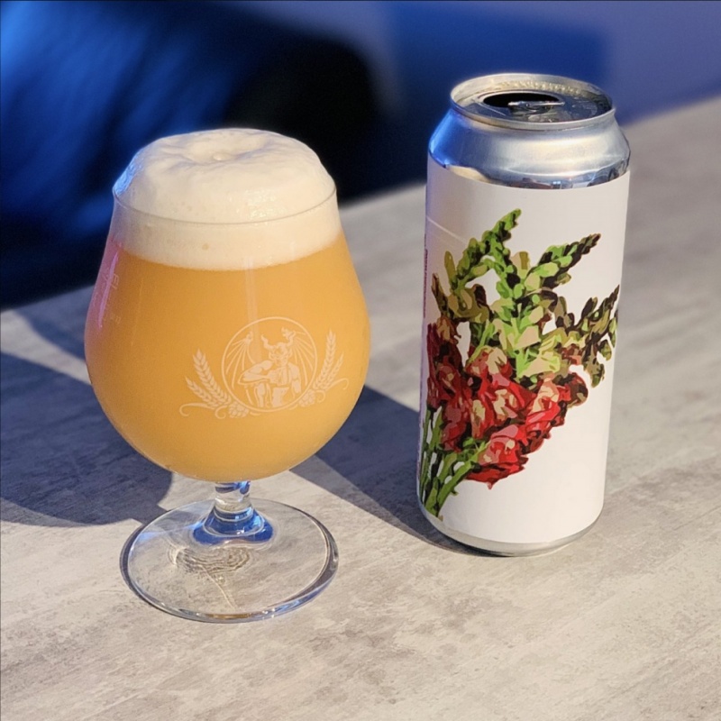 Fidens -- Snapdragon -- June 19th