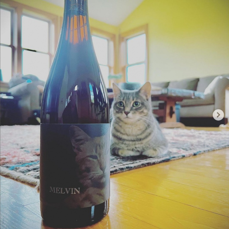 Freak Folk -- Melvin 2021 (batch 2)