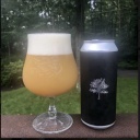 Tree House -- The Riddle -- Nov 7th