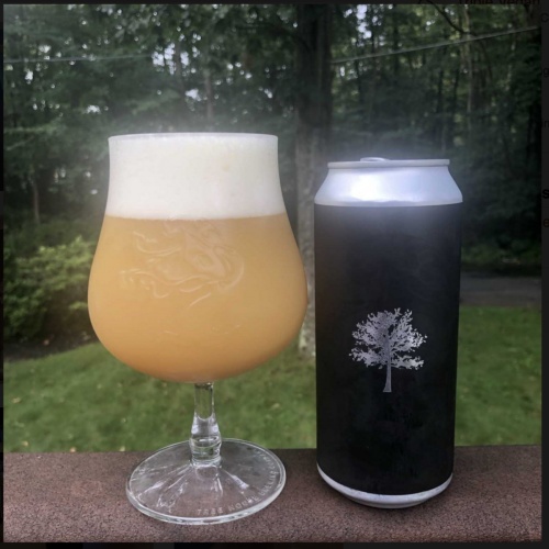 Tree House -- The Riddle -- August 21st