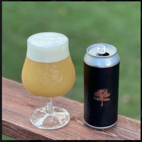 Tree House -- The Resolution -- August 22nd