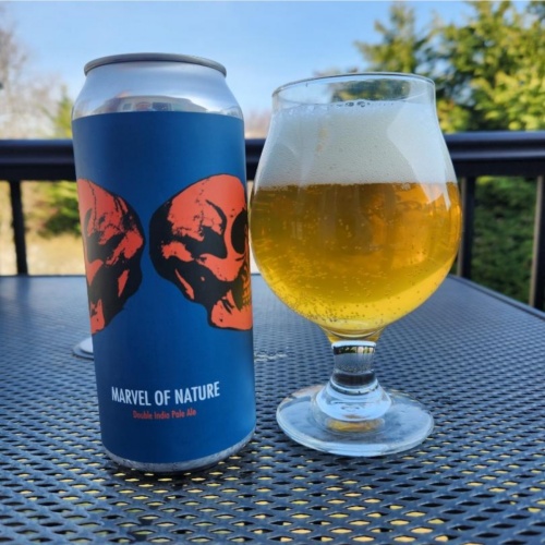 Fidens -- Marvel of Nature -- Oct 23rd