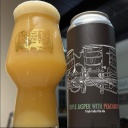 Fidens -- Triple Jasper w/ Peacharine -- Aug 21st