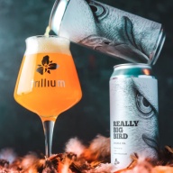 ***1 Can Trillium REALLY Big Bird***