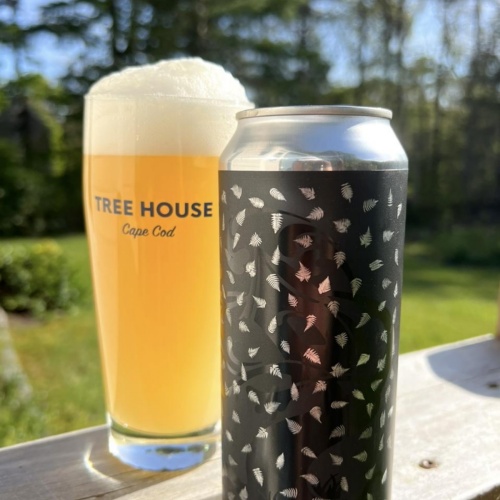 Tree House -- Baby Fern -- May 23rd