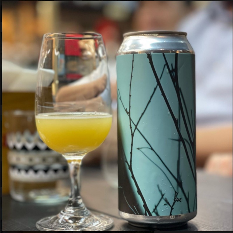 Freak Folk --  Double Fantasy: Strata & Strata CGX -- May 15th 2024