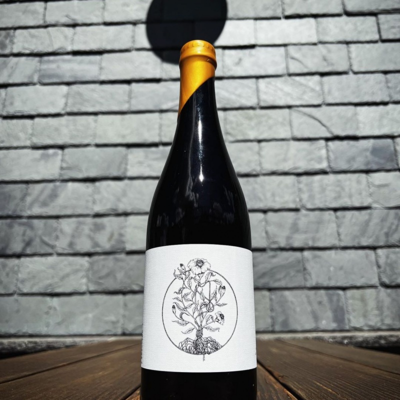 Freak Folk -- Signet (2023)