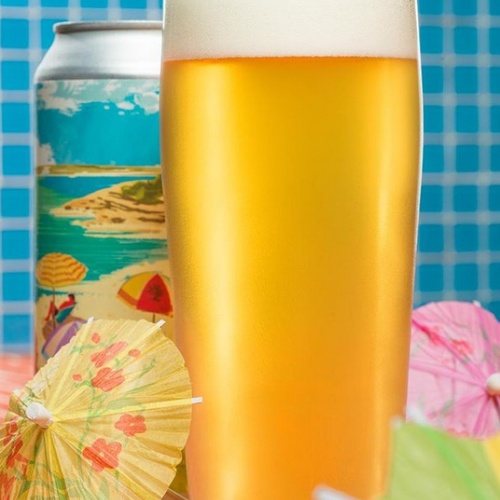 Tree House -- Curiosity 142 -- July 17th