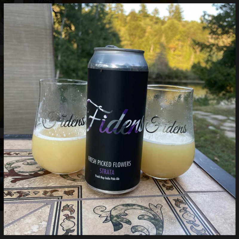 Fidens -- Fresh Picked Flowers: Strata -- Sept 4th