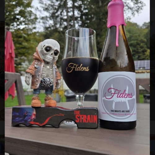Fidens -- The Nights Are Dark -- Oct 2024 Anny Release