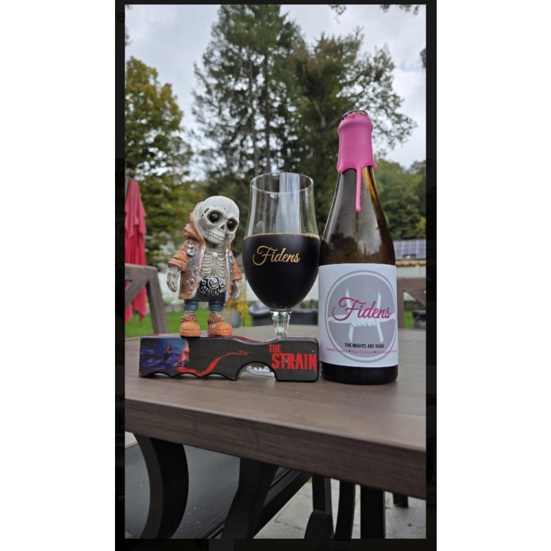 Fidens -- The Nights Are Dark -- Oct 2024 Anny Release