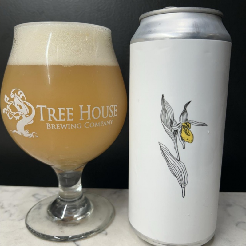 Tree House -- Yellow Lady Slipper -- Oct 4th