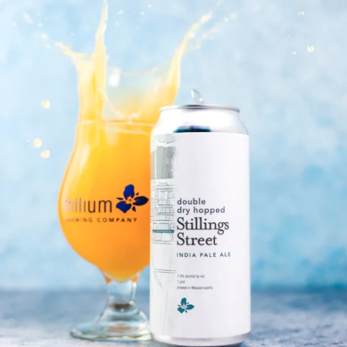***1 Can Trillium DDH Stillings Street***