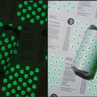 ***1 Can Tree House EXTRA Spooky***