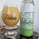 Fidens -- Jasper w. Nelson -- Apr 16th