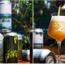 Tree House -- Nelson Many Ways: Nelson Lakes -- Dec 23rd