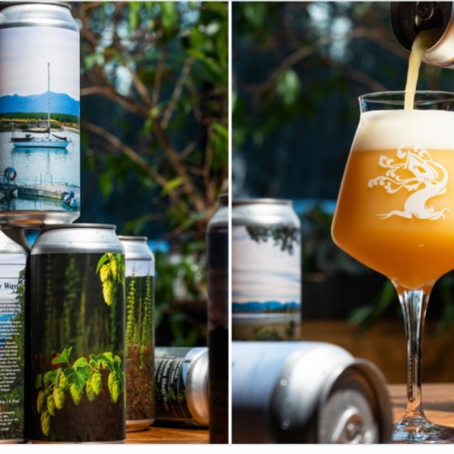 Tree House -- Nelson Many Ways: Nelson Lakes -- Dec 23rd