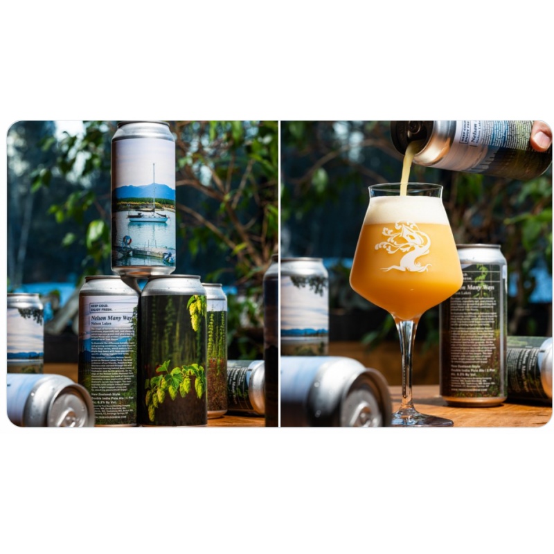 Tree House -- Nelson Many Ways: Nelson Lakes -- Dec 23rd