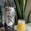 Fidens -- Down This Road -- Dec 31st