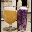 Tree House -- January Haze -- Jan 17th