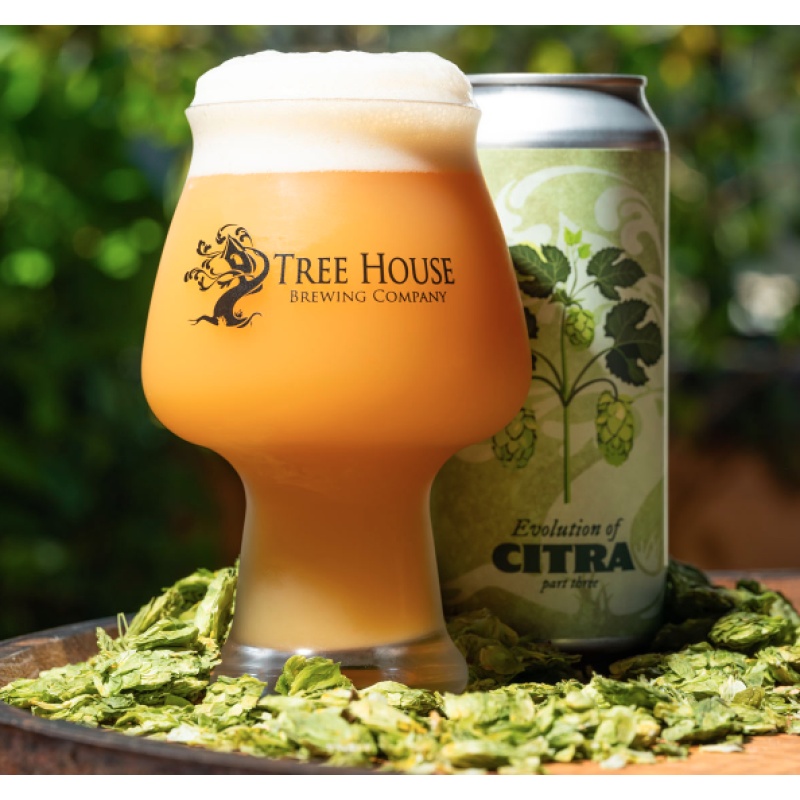 ***1 Can Tree House Evolution of Citra Part 3***