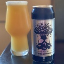 Modest Man -- MEGA: Check Your Head -- Jan 12th