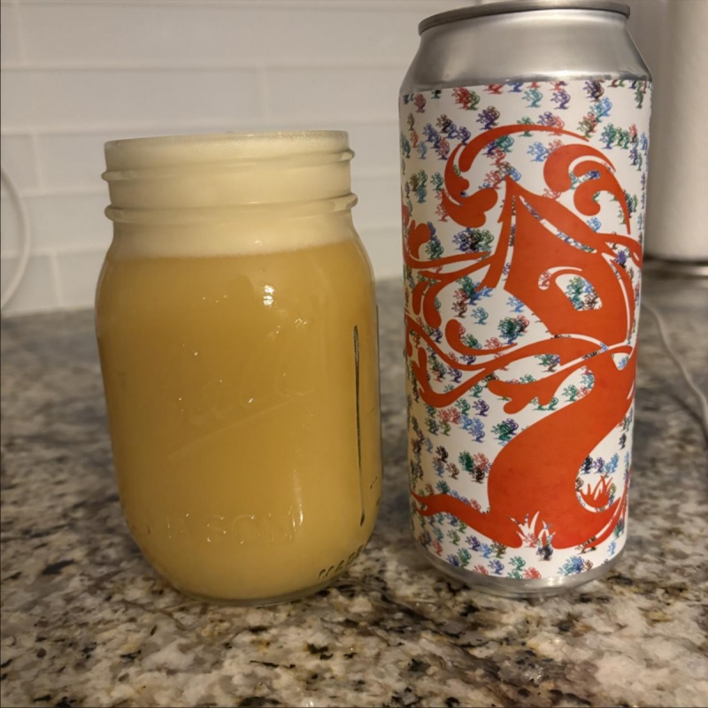 Tree House -- Focus on the Light -- Jan 30th