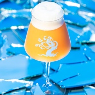 ***1 Can Tree House Mirror Image***