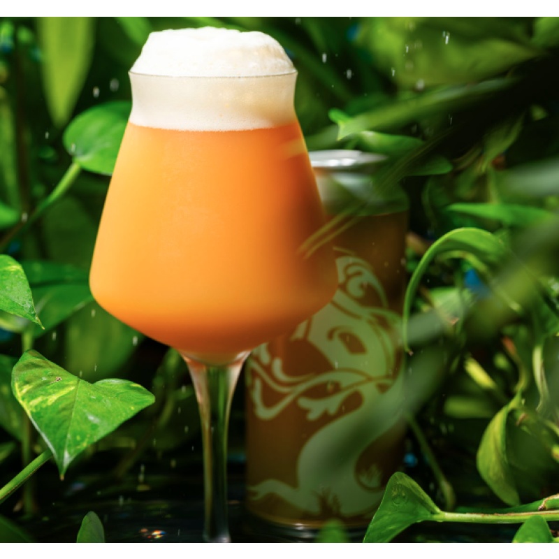 ***1 Can Tree House Oasis***