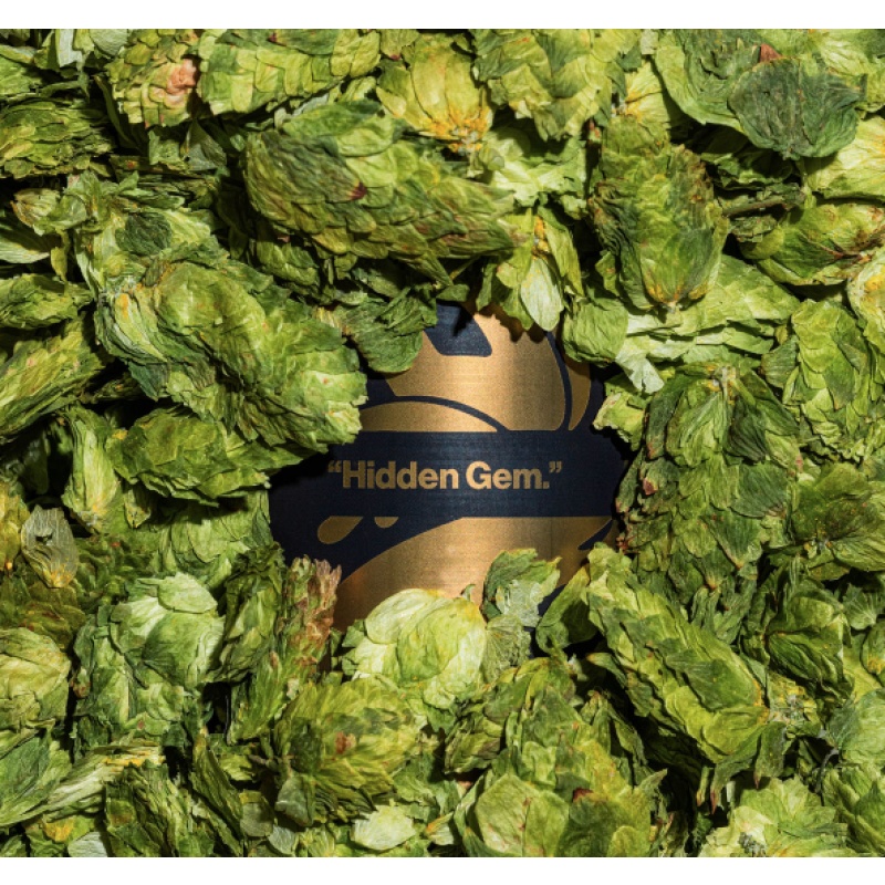 ***1 Can Tree House Hidden Gem***