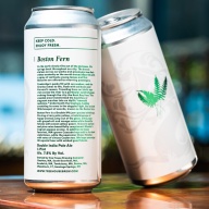 ***1 Can Tree House Boston Fern***