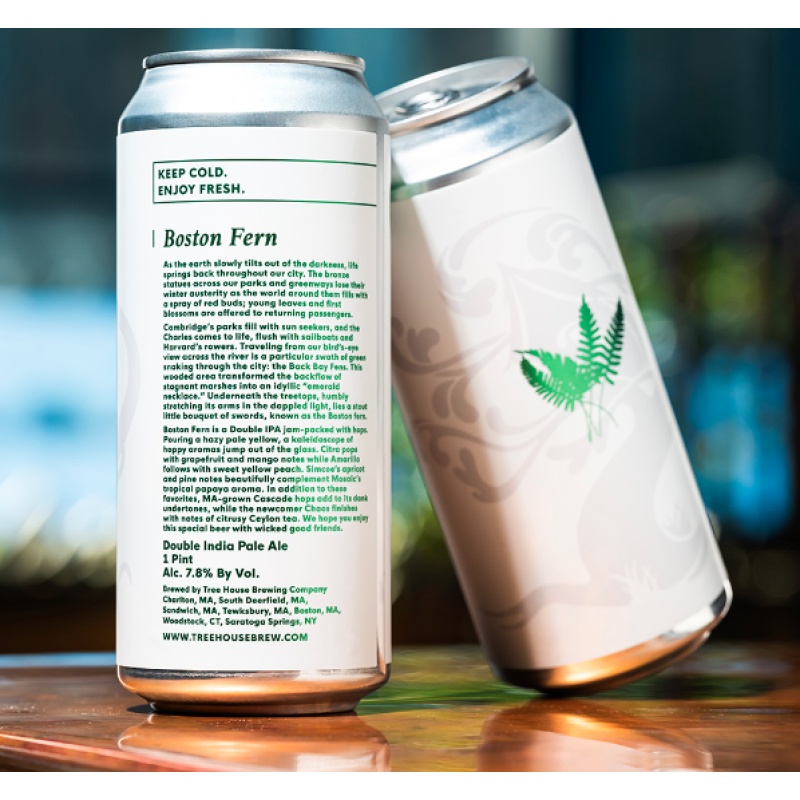 ***1 Can Tree House Boston Fern***