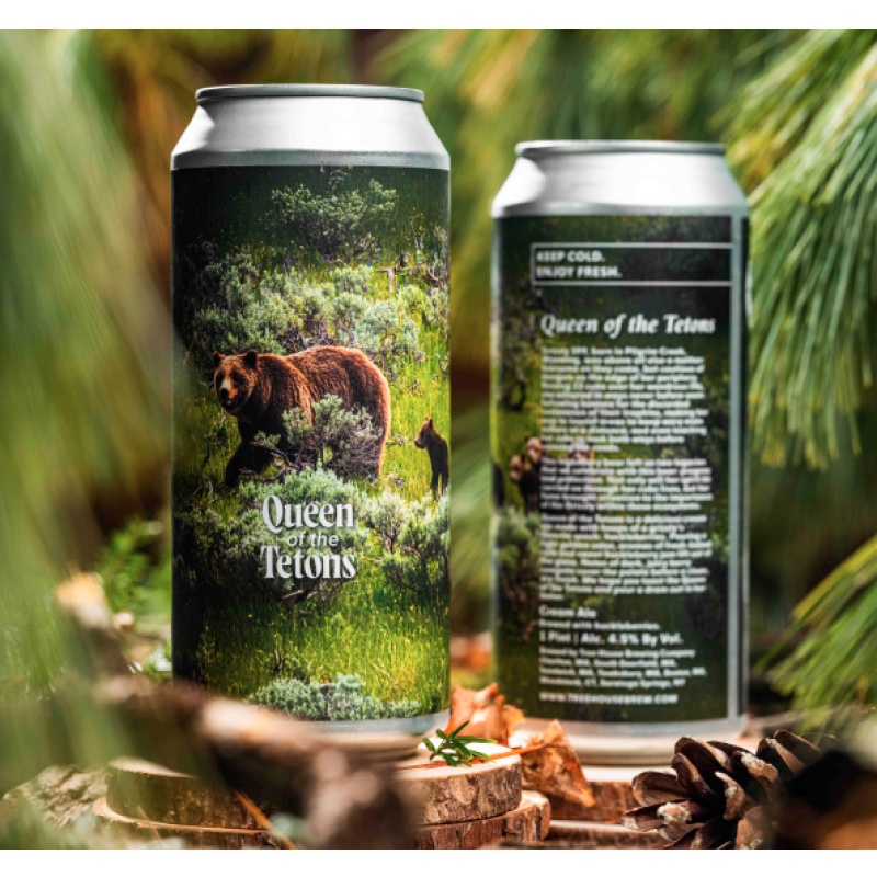 ***1 Can Tree House Queen of the Tetons***