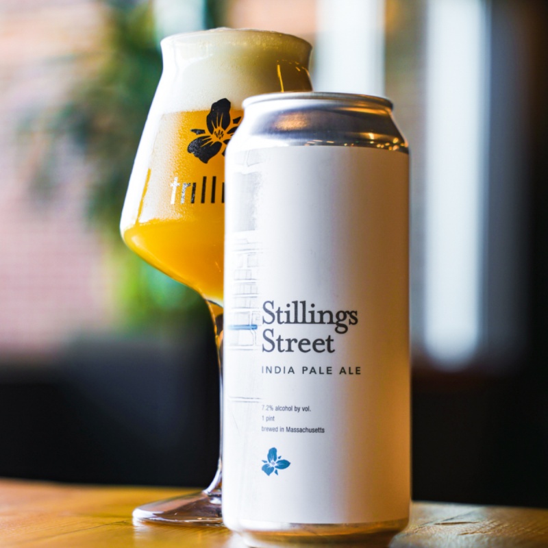 Trillium -- Stillings Street -- Feb 25th