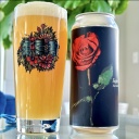 Fidens -- Triple Rose -- Dec 23rd