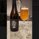 Freak Folk -- Signet: Gin (2024)