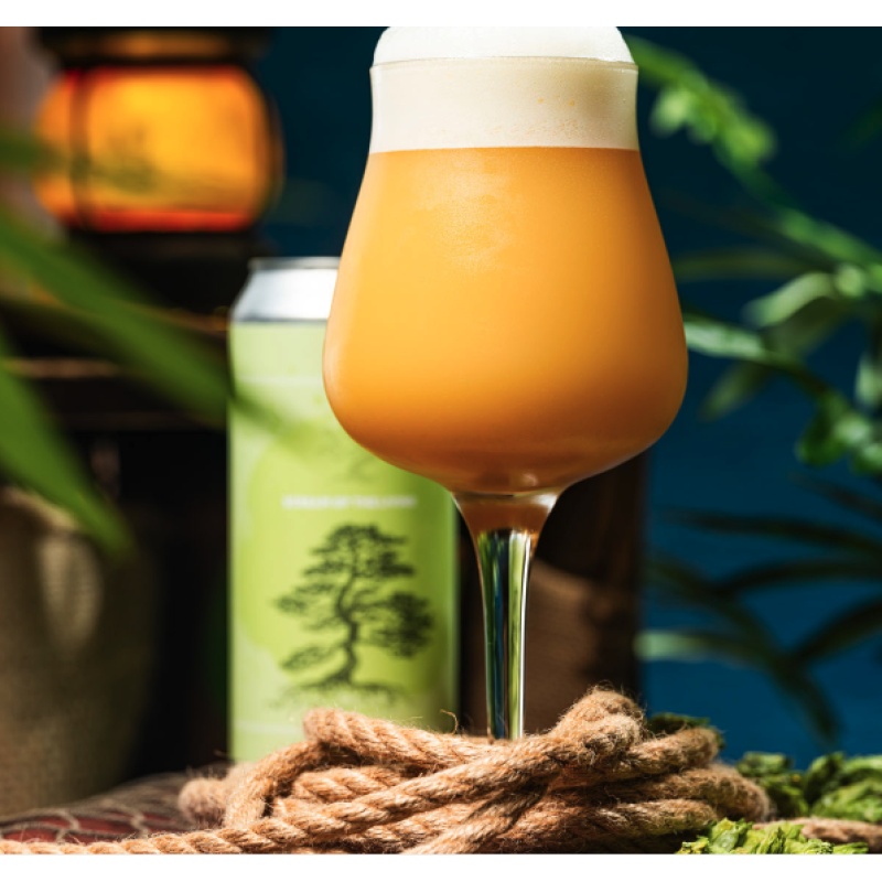 ***1 Can Tree House Scream of the Living***