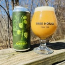 Tree House --Evolution of Citra Part Four -- March 19th