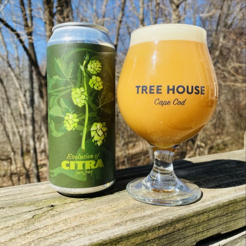 Tree House --Evolution of Citra Part Four -- March 19th