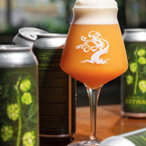 ***1 Can Tree House Evolution of Citra Part 4***