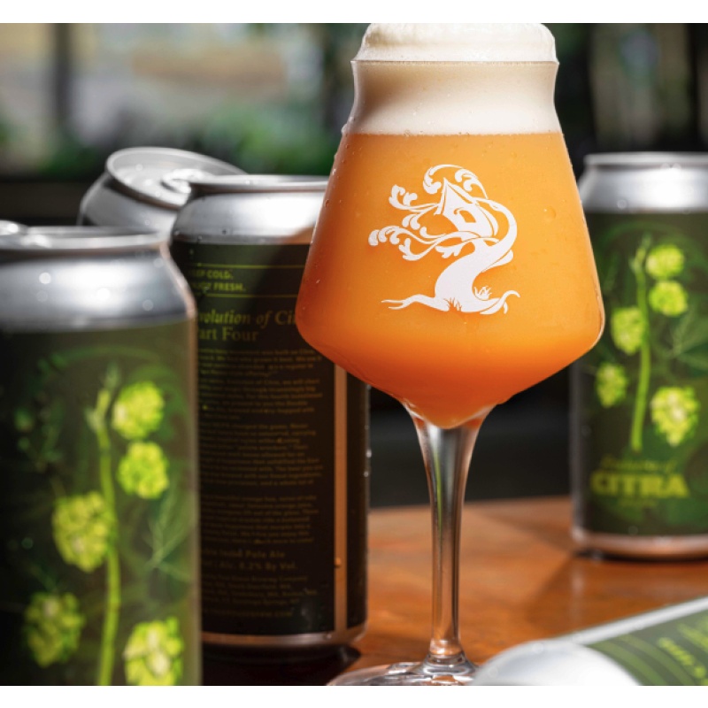 ***1 Can Tree House Evolution of Citra Part 4***