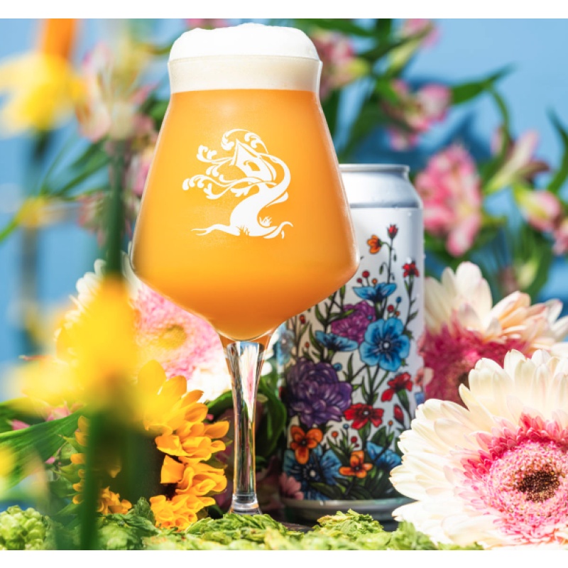 ***1 Can Tree House Spring***